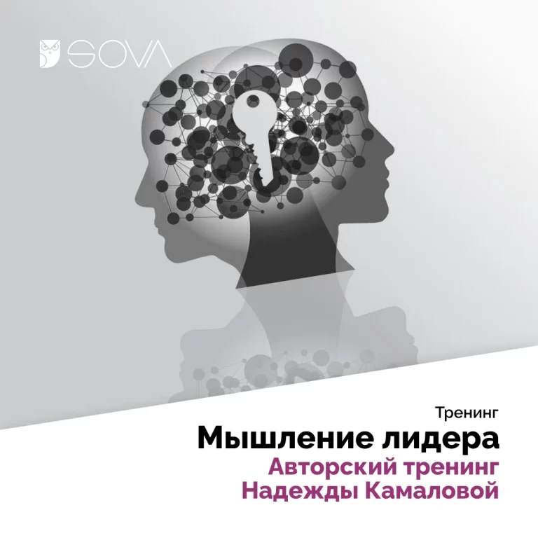 Мышление лидера. Авторский тренинг Надежды Камаловой