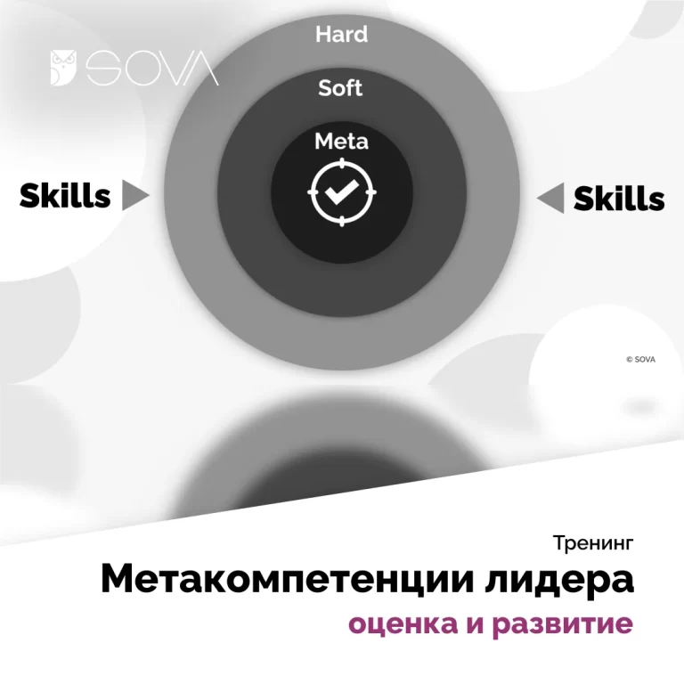 Метакомпетенции лидера: оценка и развитие