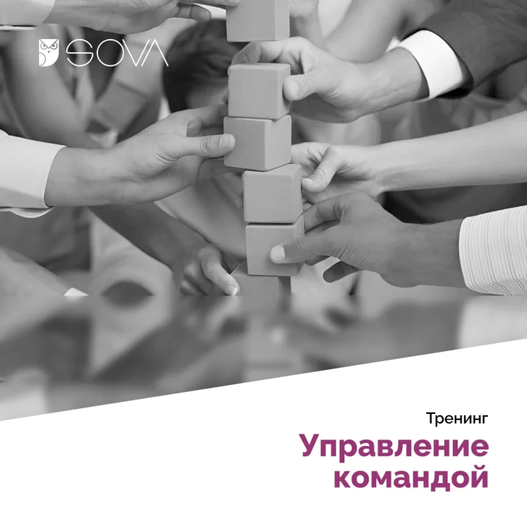 Управление командой
